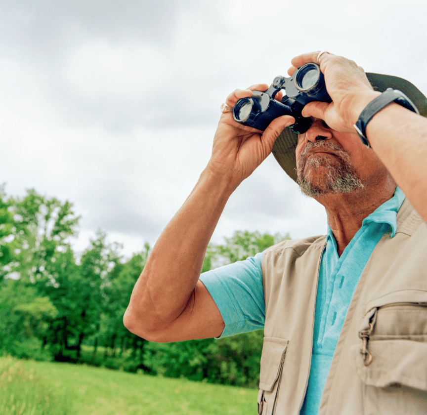 San-Cap Audubon to host bird walk | News, Sports, Jobs - SANIBEL-CAPTIVA - Island Reporter, Islander and Current - Vimarsana News