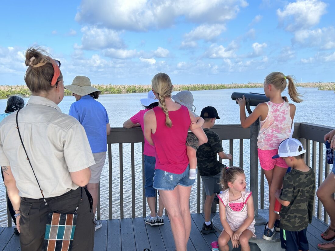 DDWS reports on refuge programming and more | News, Sports, Jobs - SANIBEL-CAPTIVA - Island Reporter, Islander and Current - Vimarsana News