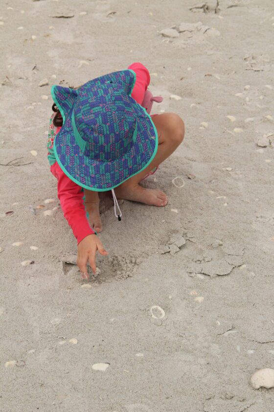 Refuge offering seasonal programming | News, Sports, Jobs - SANIBEL-CAPTIVA - Island Reporter, Islander and Current - Vimarsana News