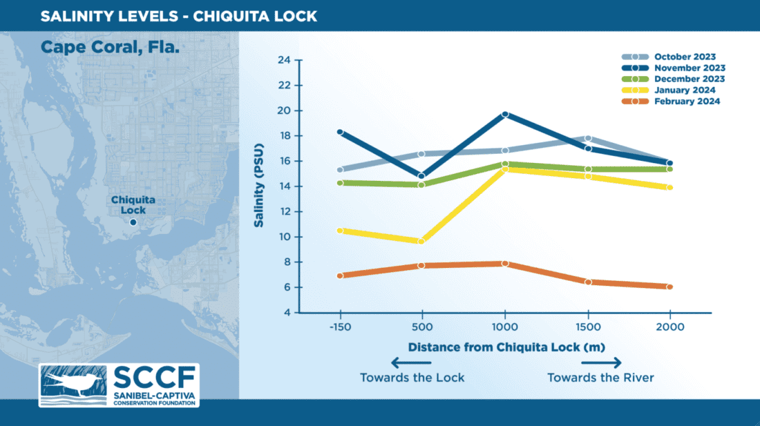 SCCF: Decreased salinity documented due to lake discharges | News, Sports, Jobs - SANIBEL-CAPTIVA - Vimarsana News
