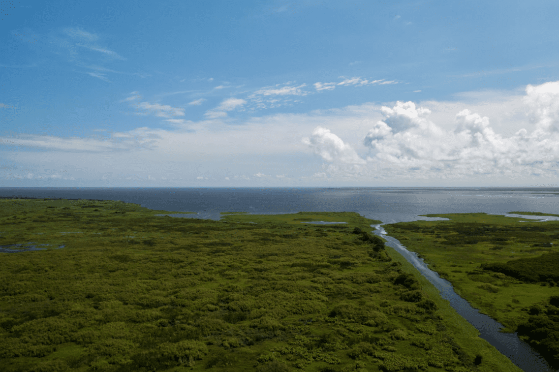 What is happening with Lake Okeechobee? | News, Sports, Jobs - SANIBEL-CAPTIVA - Island Reporter, Islander and Current - Vimarsana News
