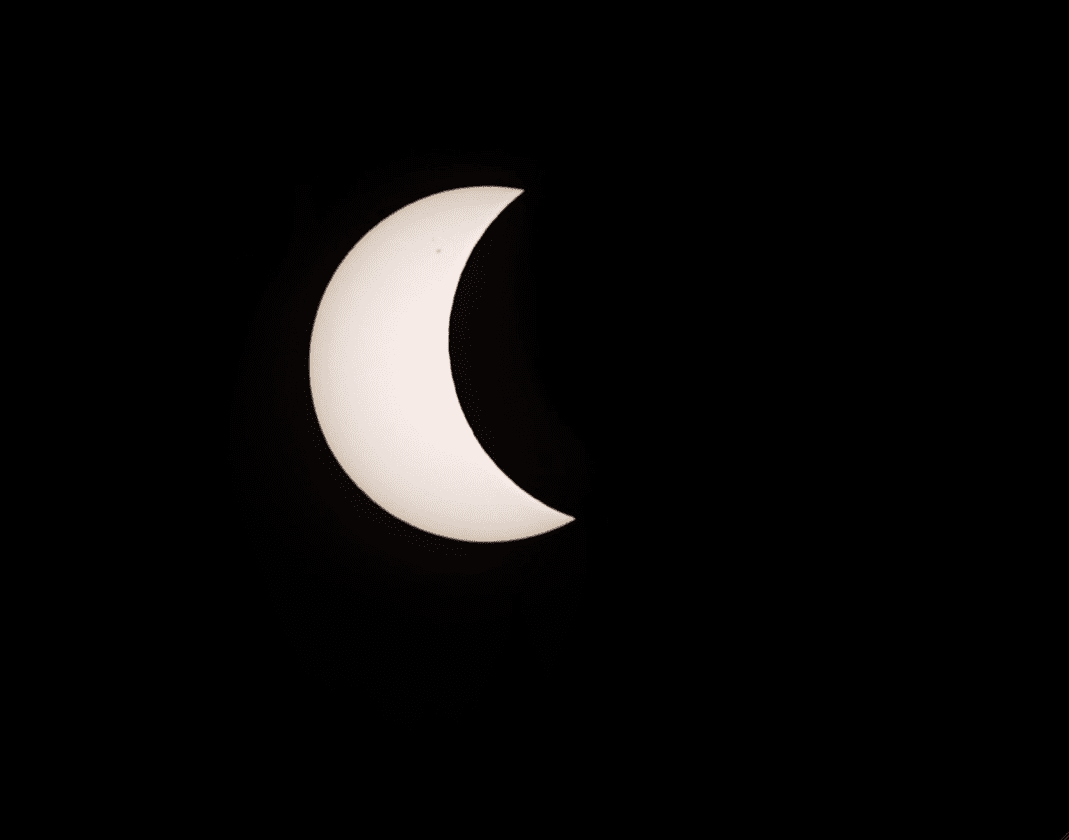 Eclipse celebration held at refuge | News, Sports, Jobs - SANIBEL-CAPTIVA - Island Reporter, Islander and Current - Vimarsana News