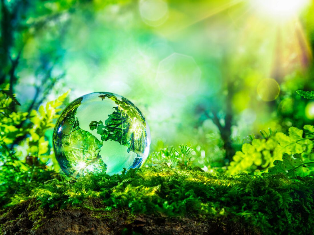 Saint Michael to host walk for Earth Day | News, Sports, Jobs - SANIBEL-CAPTIVA - Island Reporter, Islander and Current - Vimarsana News