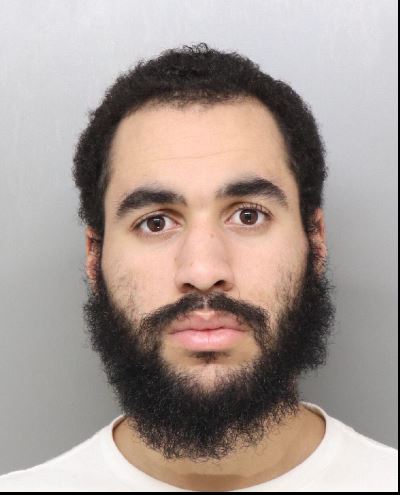 Ohio man arrested for climbing bridge | News, Sports, Jobs - Vimarsana News
