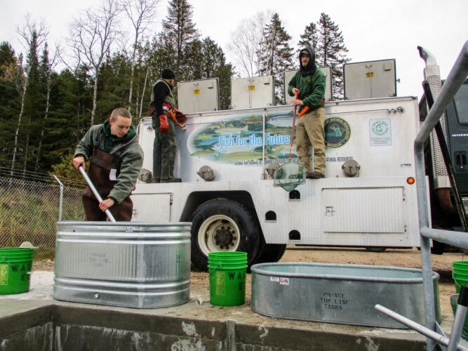 U.P. fish hatcheries have long history | News, Sports, Jobs - Vimarsana News