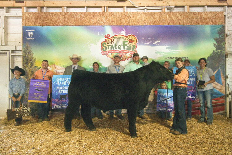 Grand champion steer picked at U.P. State Fair | News, Sports, Jobs - Vimarsana News