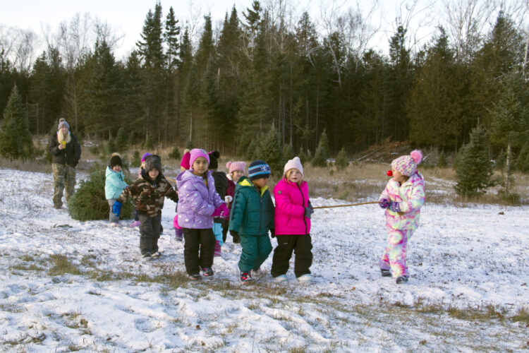 Growing Christmas trees is a year-round task | News, Sports, Jobs - Vimarsana News