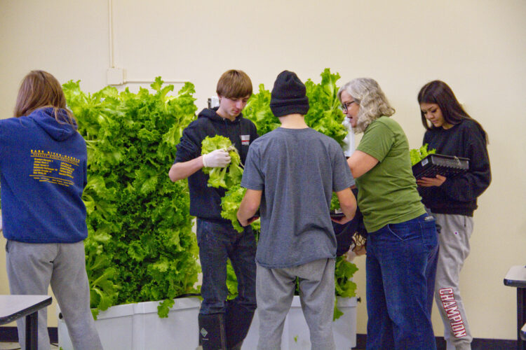 Students get taste of hydroponic farming | News, Sports, Jobs - Vimarsana News