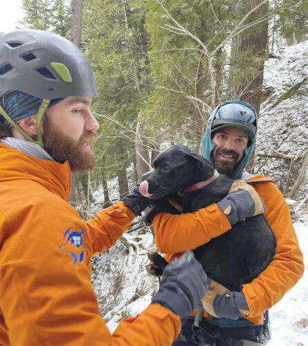 Dog found alive after 60-foot fall from Miners Castle | News, Sports, Jobs - Vimarsana News
