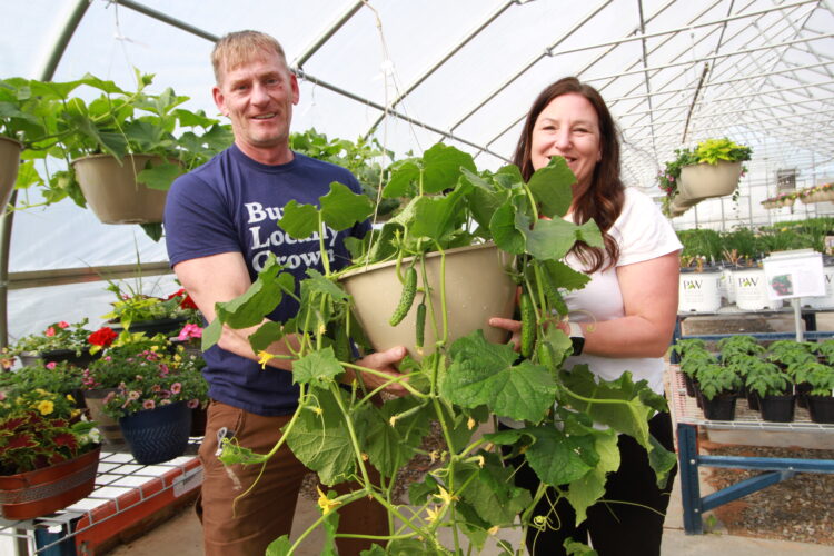 Nonprofit supplies fresh produce to local food pantries | News, Sports, Jobs - Vimarsana News