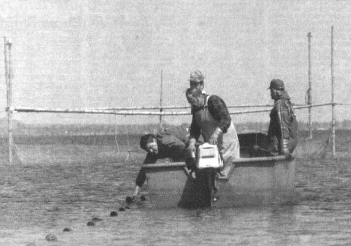 Remember When? | News, Sports, Jobs - Vimarsana News