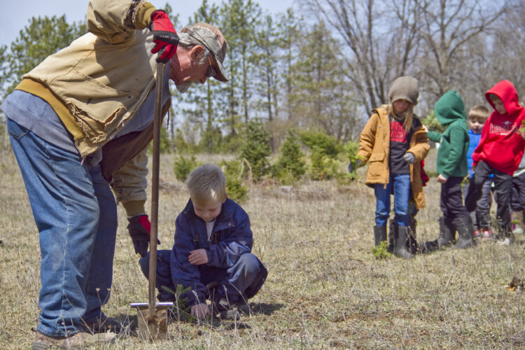 Kids learn Christmas trees begin with seedlings | News, Sports, Jobs - Vimarsana News