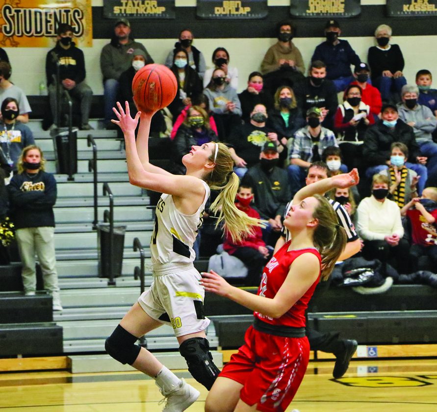Lady E-Hawks Advance To Regional Championship | News, Sports, Jobs - Vimarsana News