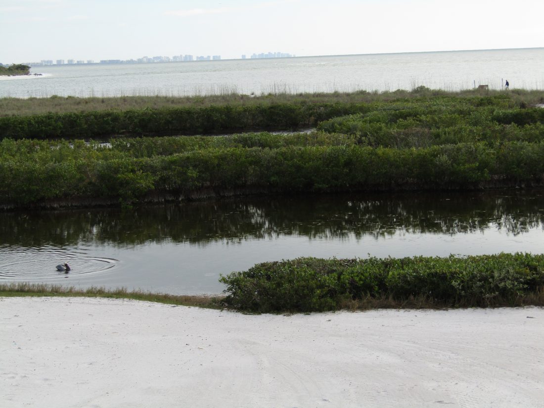 Fort Myers Beach LPA gives approval for special exception permit and variance for dune and lagoon walkover near critical wildlife area | News, Sports, Jobs - FORT MYERS - Vimarsana News