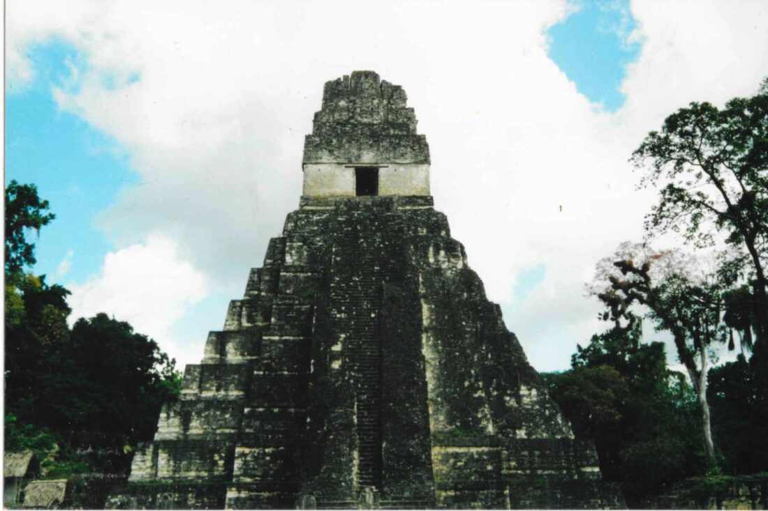 Birds, coffee and a trip to Mexico | News, Sports, Jobs - FORT MYERS - Beach Observer and Beach Bulletin - Vimarsana News