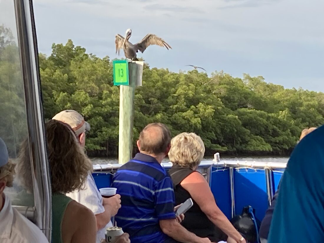 Charter boat captains win lawsuit against government over tracking devices | News, Sports, Jobs - FORT MYERS - Vimarsana News