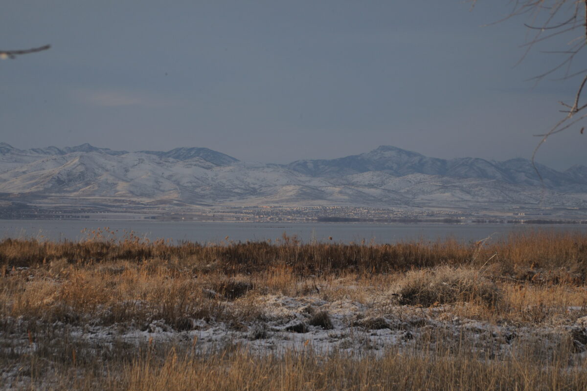 Lawmakers move forward to repeal legislation that would have allowed Utah Lake island development | News, Sports, Jobs - Vimarsana News