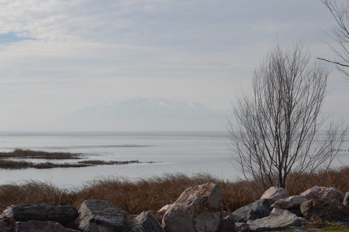 Proposal to build islands in Utah Lake seemingly over as company dissolves | News, Sports, Jobs - Vimarsana News