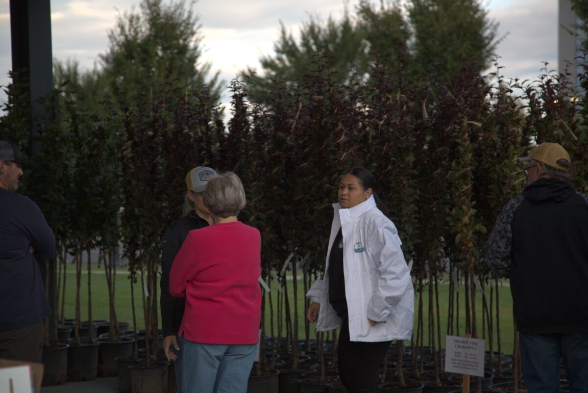 Provo Power preparing for yearly free tree giveaway | News, Sports, Jobs - Vimarsana News