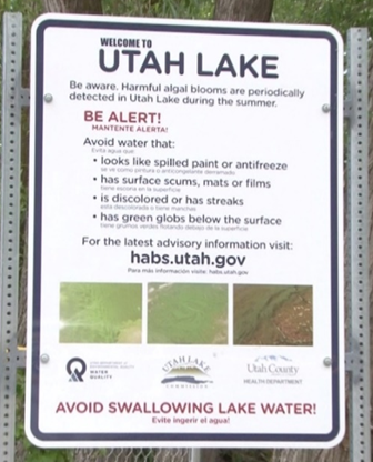Dog dies after visit to Utah Lake, where toxic algal blooms are rampant | News, Sports, Jobs - Vimarsana News