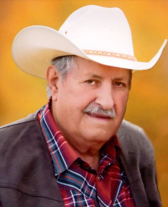 Robert L. "Bob" Revoir | News, Sports, Jobs - Vimarsana News