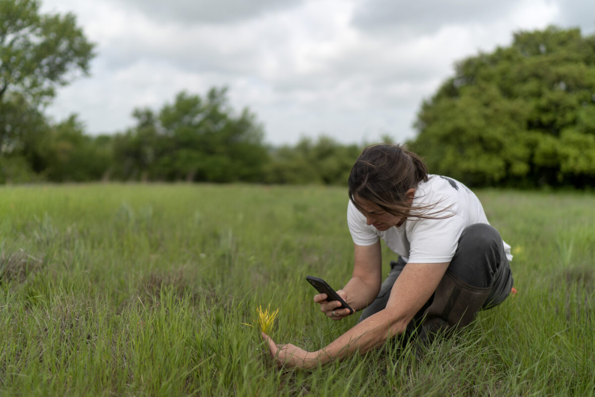Beef is a way of life in Texas, but it's hard on the planet. This rancher thinks she can change that | News, Sports, Jobs - Vimarsana News
