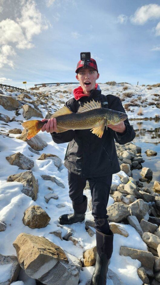 Illegal walleye introduction at Strawberry Reservoir prompts DWR warning | News, Sports, Jobs - Vimarsana News