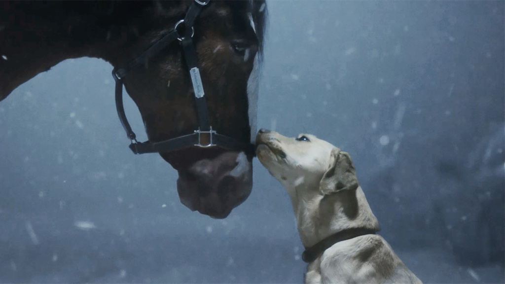 From Uber Eats' 'Friends' reunion to Bud's Clydesdales, here are the buzziest Super Bowl ads so far | News, Sports, Jobs - Vimarsana News