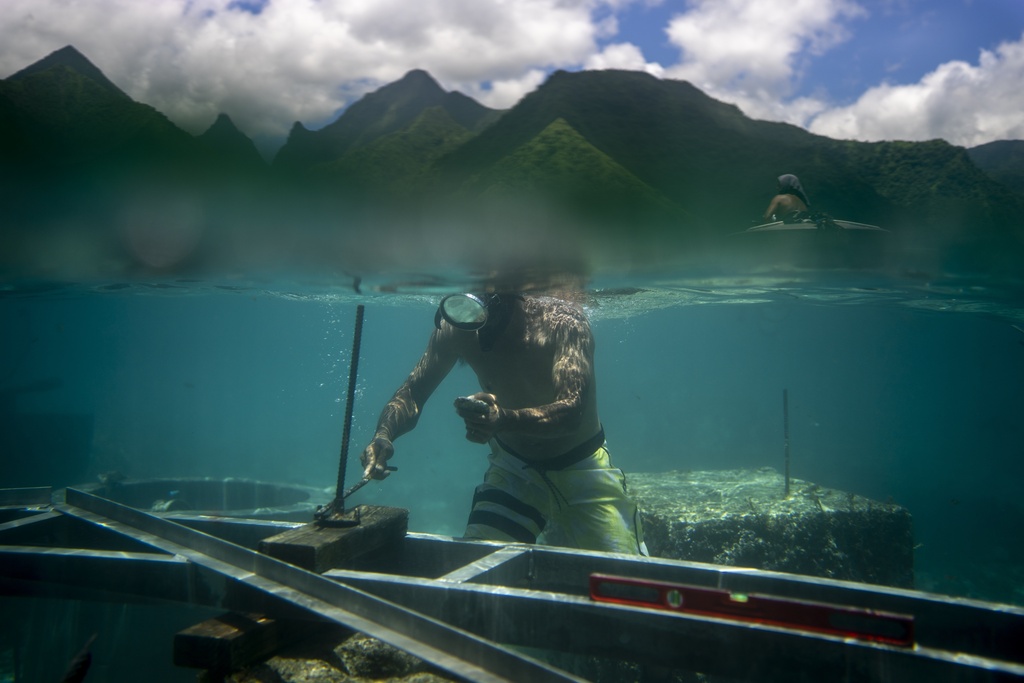 Hundreds are set to descend on Tahiti for Olympic surfing. Can locals protect their way of life? | News, Sports, Jobs - Vimarsana News