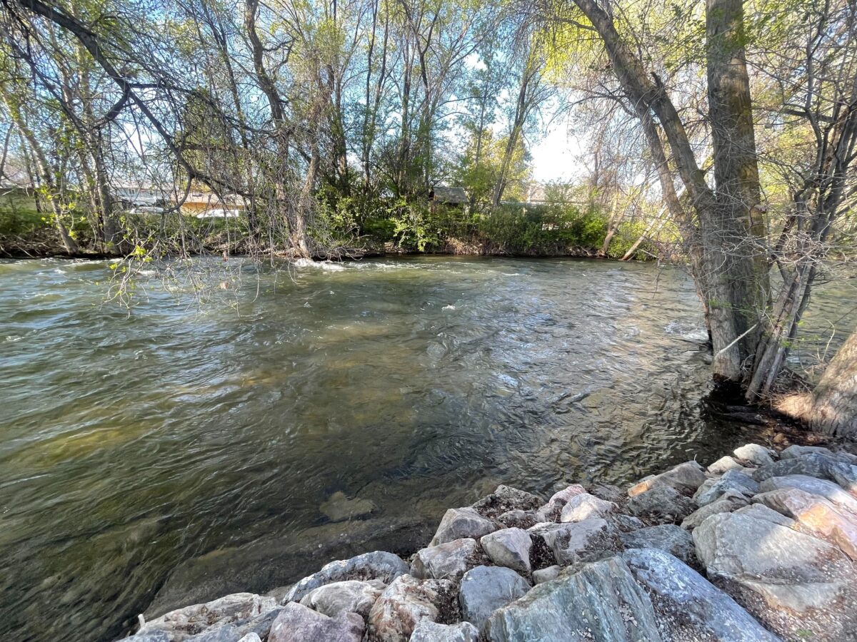 Provo River flooding not anticipated, but city monitoring high water flows | News, Sports, Jobs - Vimarsana News