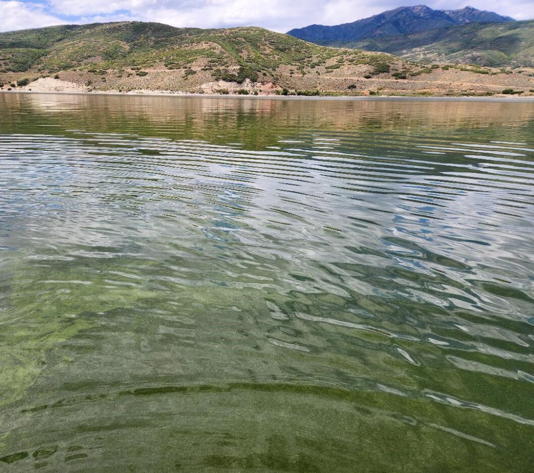 Staying vigilant: Harmful algal blooms remain in Utah Lake, Deer Creek as summer turns to fall