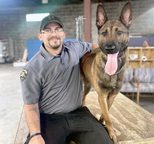 Wintersville Council was having a dog day | News, Sports, Jobs - Vimarsana News