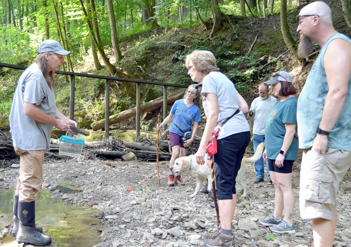 Nature walk | News, Sports, Jobs - The Herald Star - Vimarsana News
