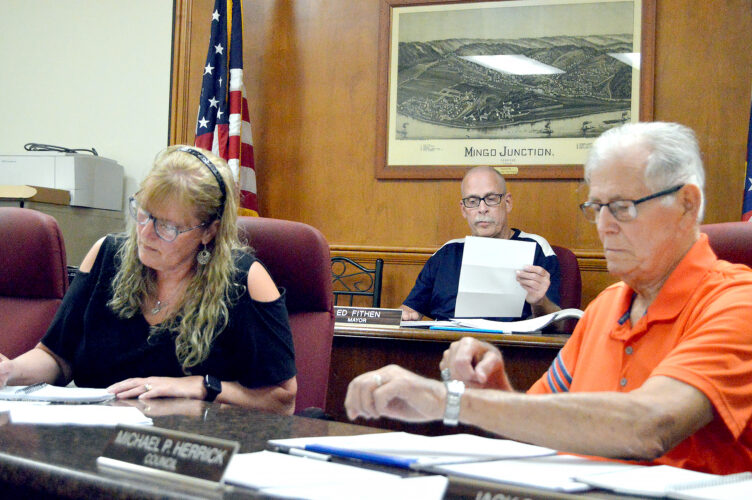 Mingo Council addresses improvements, complaints | News, Sports, Jobs - Vimarsana News