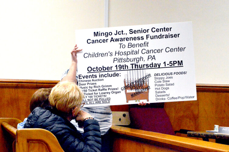 Attorney presents property vacation petition to Mingo Junction Council | News, Sports, Jobs - Vimarsana News