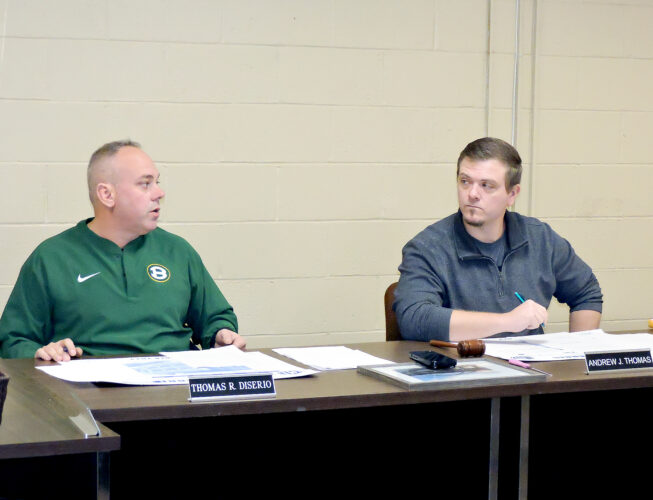 W.Va. state funds to be sought for Miracle League facilities | News, Sports, Jobs - Vimarsana News