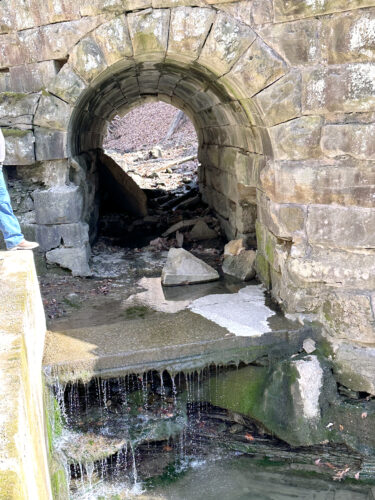 Beatty Park bridge project on hold for now | News, Sports, Jobs - Vimarsana News