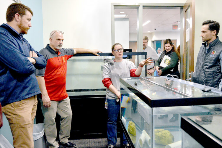 Indian Creek, ODNR partnership saving salamanders | News, Sports, Jobs - Vimarsana News