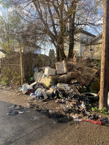 Looking to clean up city | News, Sports, Jobs - Vimarsana News