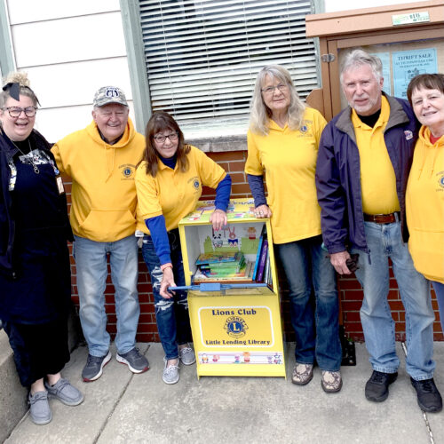 Lions Little Lending Libraries | News, Sports, Jobs - Vimarsana News