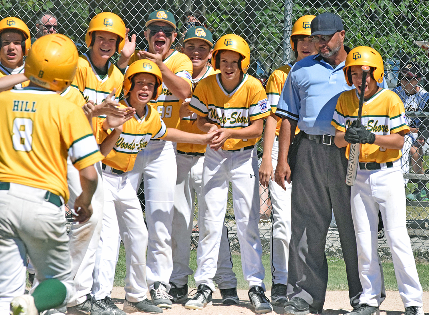 Little League Majors Grosse Pointe powers past Kingsford News, Sports, Jobs The Daily news