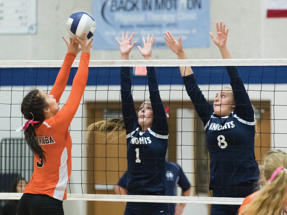 Volleyball Escanaba teamwork keys sweep of Norway News, Sports, Jobs The Daily news