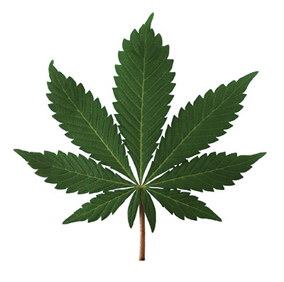 Norway council votes to allow marijuana businesses | News, Sports, Jobs - Vimarsana News