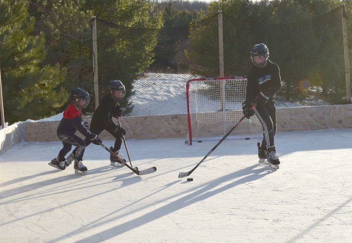 Nice to have ice at home | News, Sports, Jobs - Vimarsana News