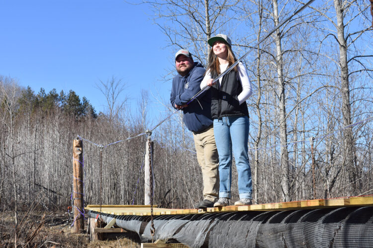 DIY bridge: Foster City family puts span across Sturgeon River | News, Sports, Jobs - Vimarsana News