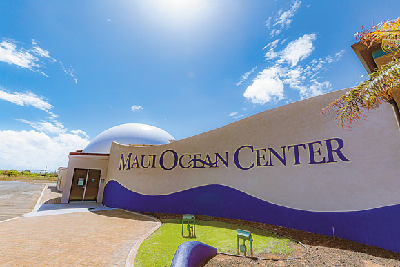 Maui Ocean Center reopens with health and well-being in mind | News, Sports, Jobs - Vimarsana News