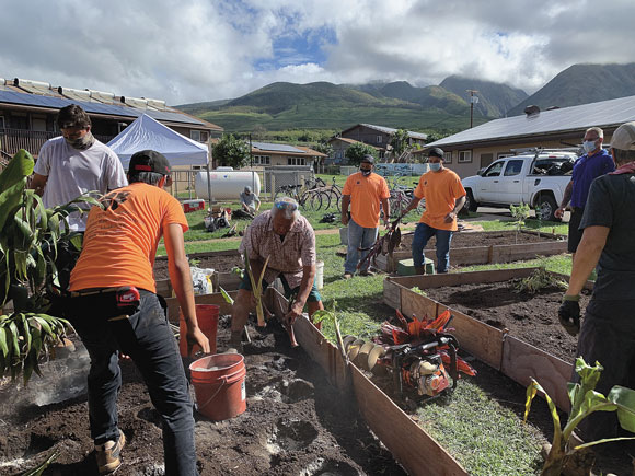 Rotary Clubs' tree planting projects conclude with amazing results | News, Sports, Jobs - Vimarsana News