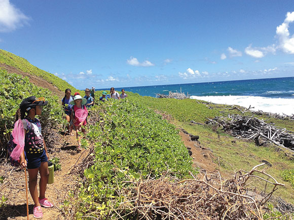 Learning Endeavors offering summer camps for Maui youth | News, Sports, Jobs - Vimarsana News