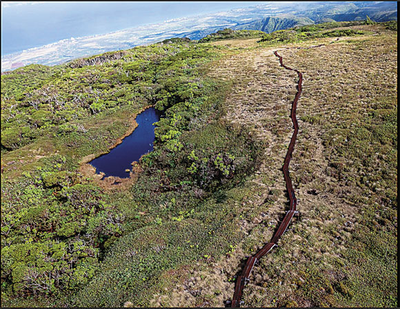 MLP and state dedicate $3,120,000 to protecting critical West Maui watershed | News, Sports, Jobs - Vimarsana News