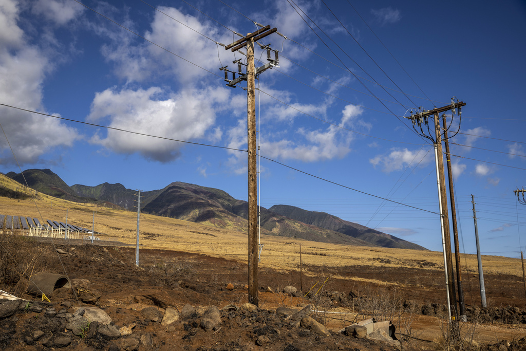 Bare electrical wire and leaning poles on Maui were possible cause of deadly fires | News, Sports, Jobs - Vimarsana News